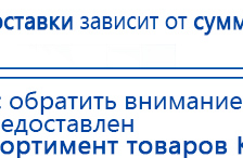 Дэнас ПКМ Новинка 2016 купить в Пензе, Аппараты Дэнас купить в Пензе, Скэнар официальный сайт - denasvertebra.ru