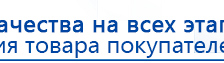 Носки-электроды для аппаратов Дэнас купить в Пензе, Электроды Дэнас купить в Пензе, Скэнар официальный сайт - denasvertebra.ru